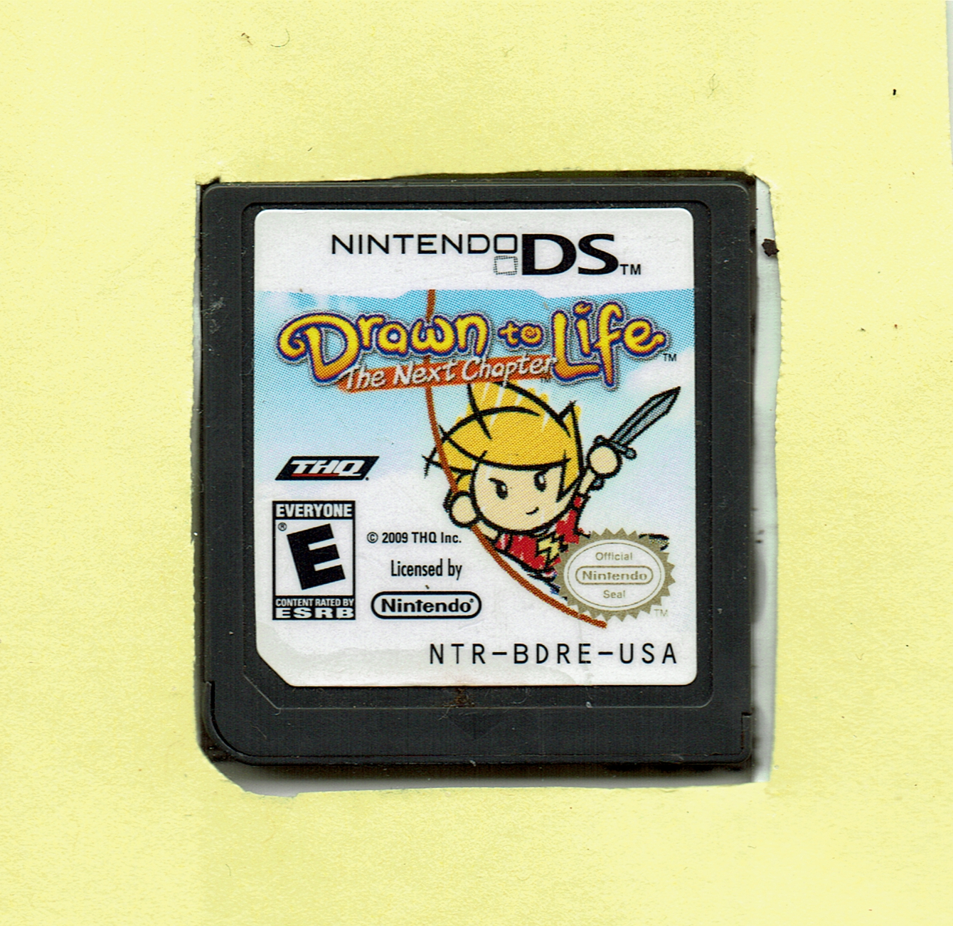 Drawn to Life: The Next Chapter